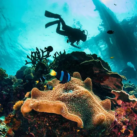 Voramar B * Calella de Palafrugell